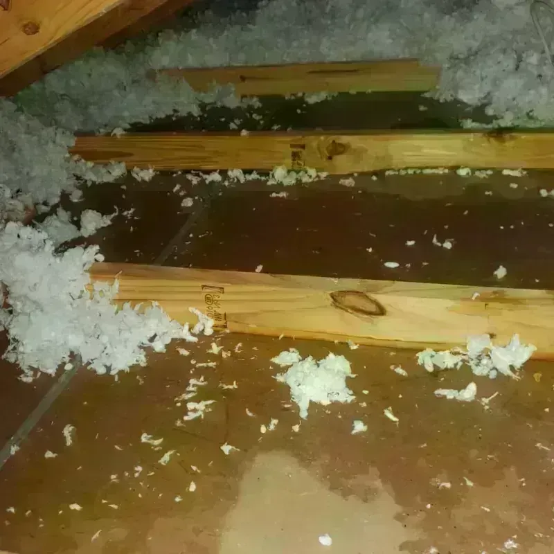 Attic Water Damage in Pooler, GA